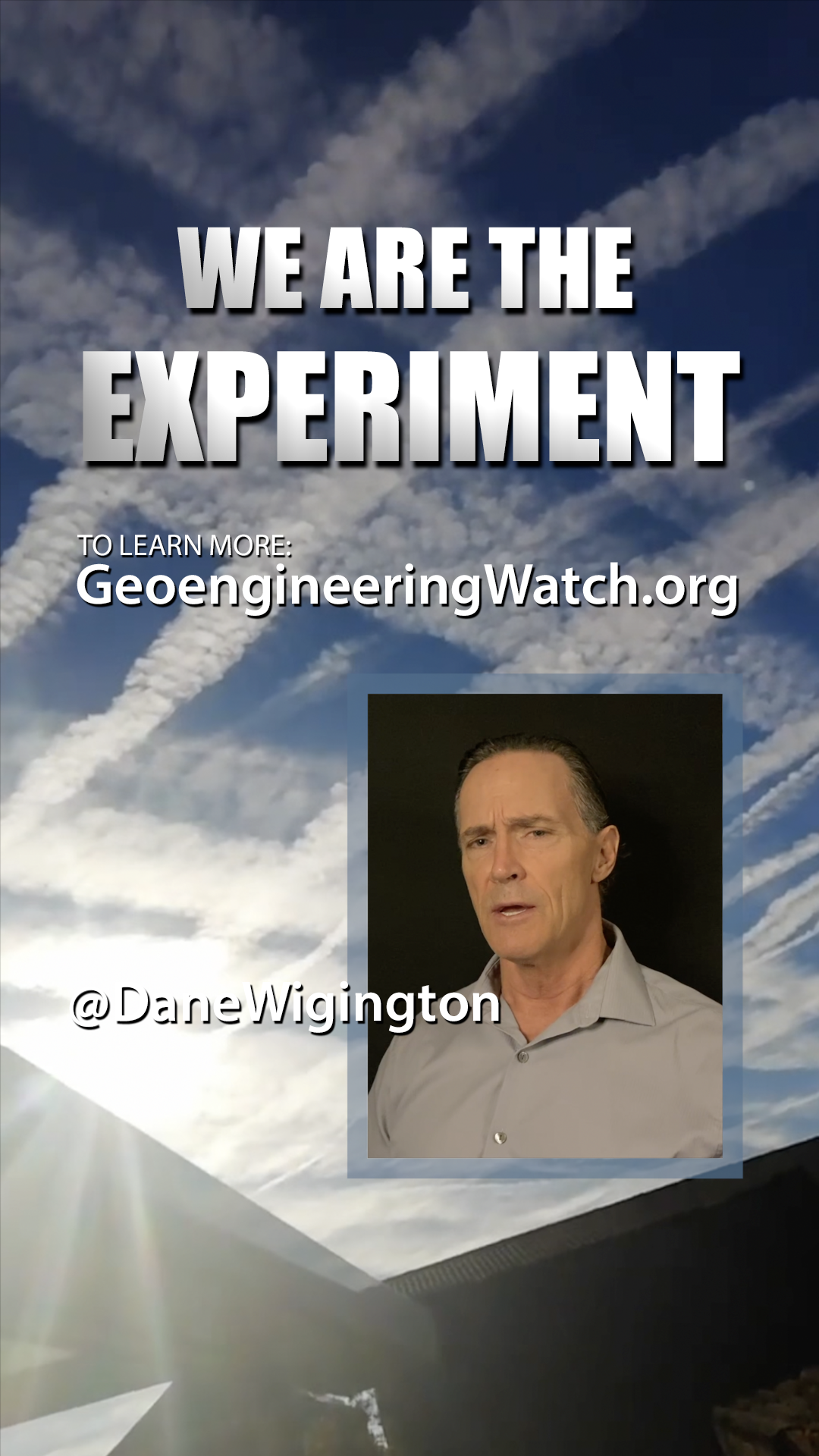 We Are The Experiment